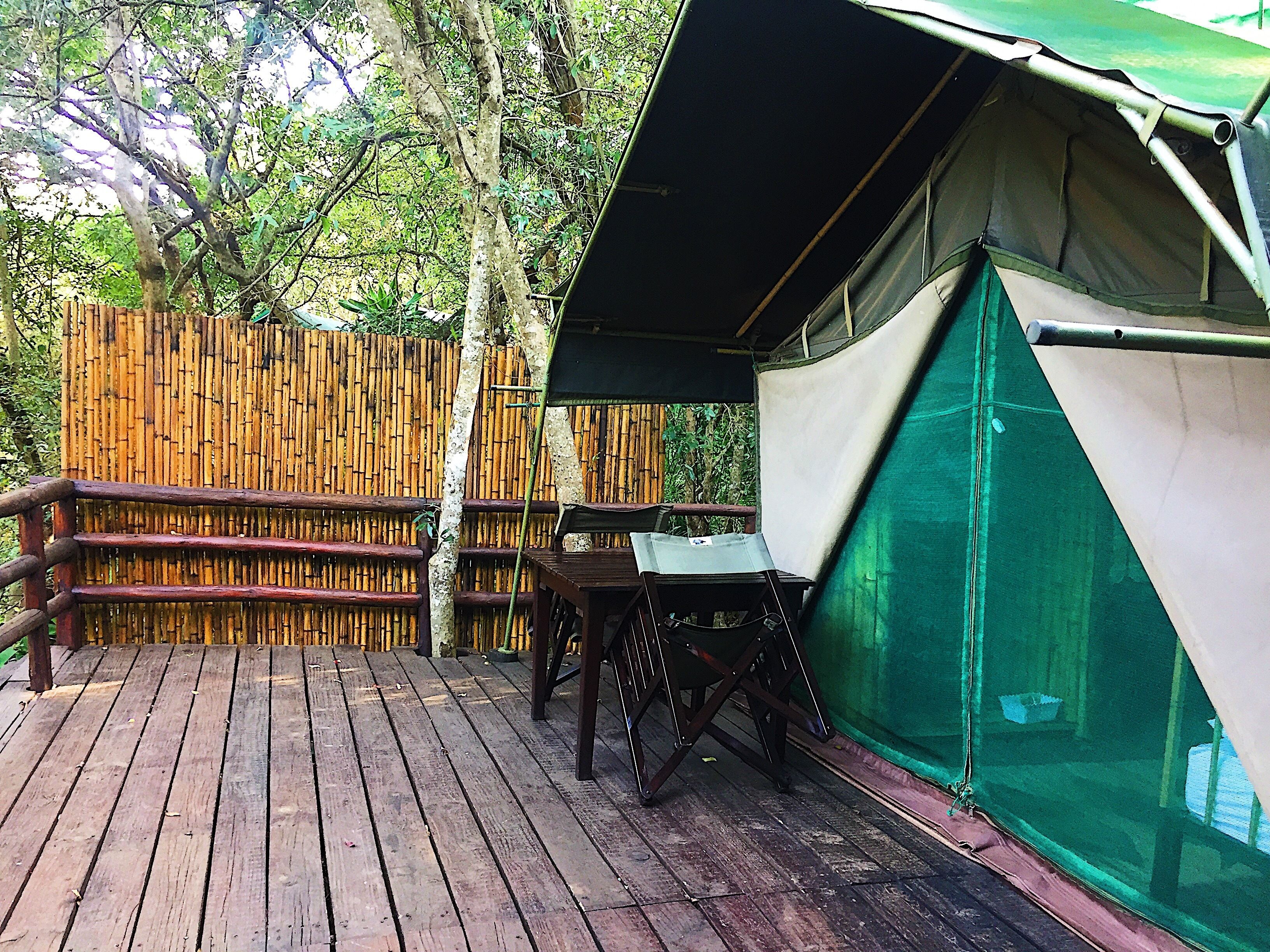 A wooden deck with a table and chairs, a bamboo fence, and a tent with a green mesh side.