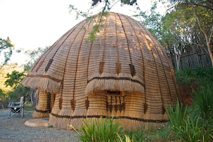 Estructura con techo de paja en forma de cúpula y una entrada circular, rodeada de follaje y árboles.