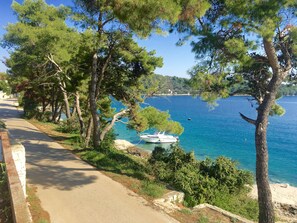 Vue sur la plage ou l’océan