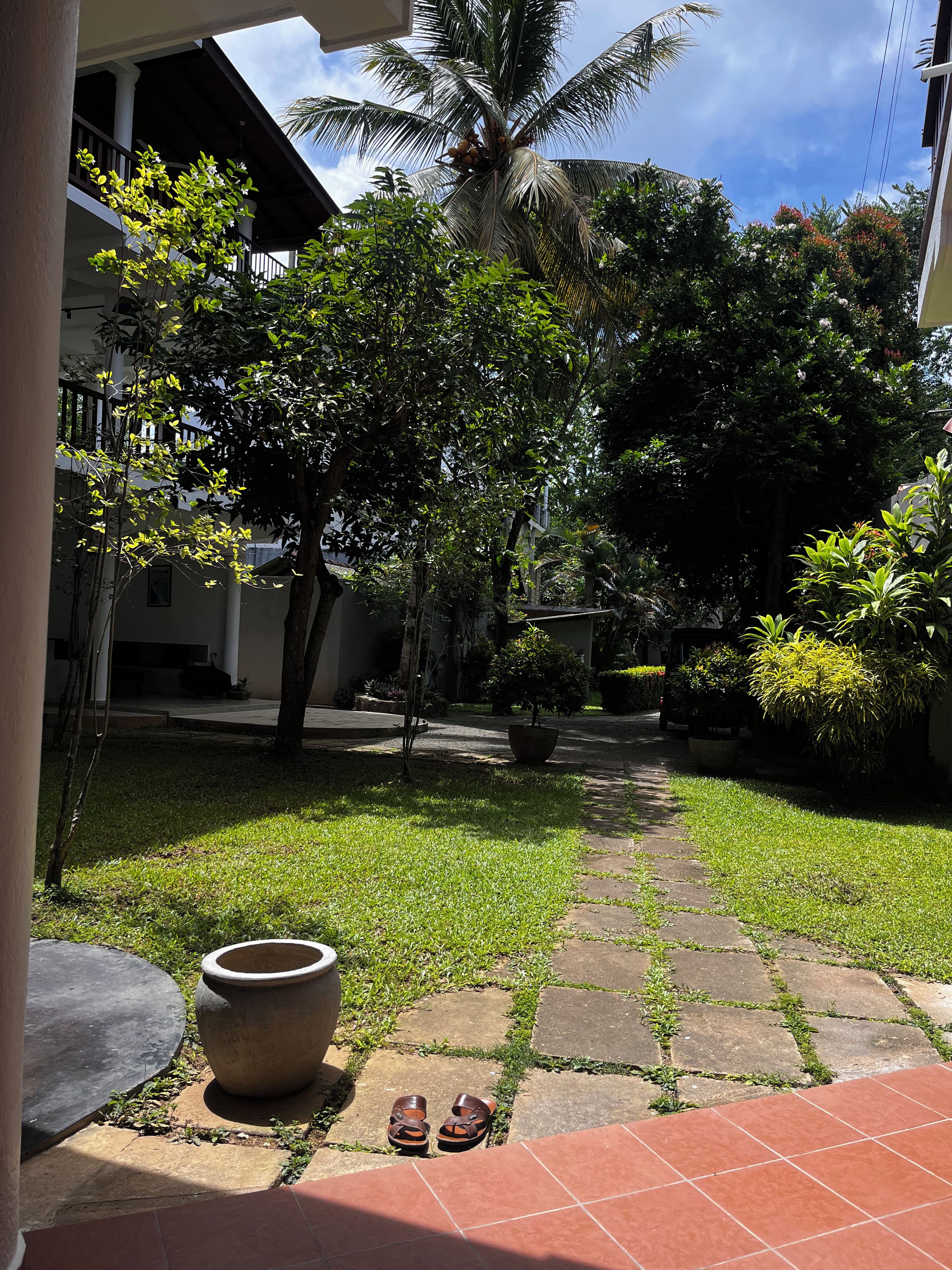 A courtyard with a pathway, a palm tree, and a building with a balcony.