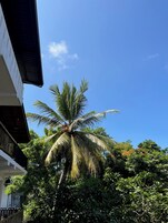 Un edificio residencial con una palmera destacada en primer plano.