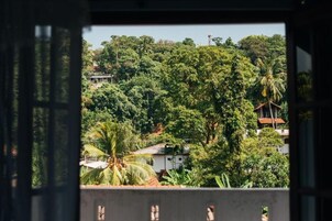 A view through a window with a balcony, overlooking a lush green landscape with dense foliage and a few buildings in the background.