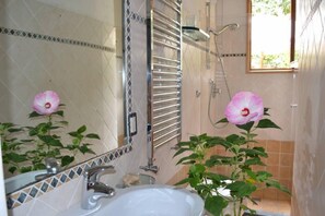 Dusche, Haartrockner, Handtücher, Seife