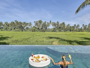 Pool - SPLENDID BRAND NEW LUXURY VILLA, UBUD (Lodtunduh)