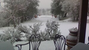 A snow-covered outdoor area with a wooden fence, potted plants, and a bench.