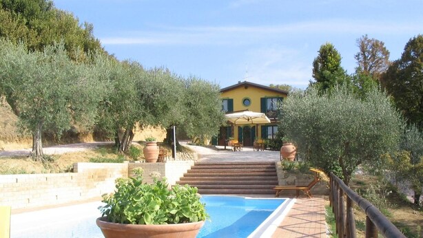 A pool area with steps leading to a building, surrounded by olive trees and potted plants.
