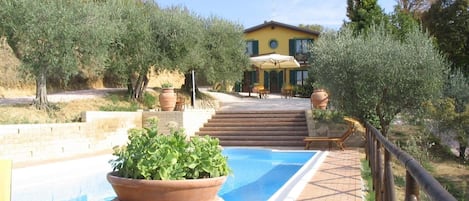 A pool area with steps leading to a building, surrounded by olive trees and potted plants.
