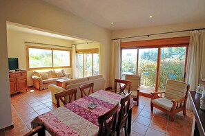 Televisión, chimenea y reproductor de DVD