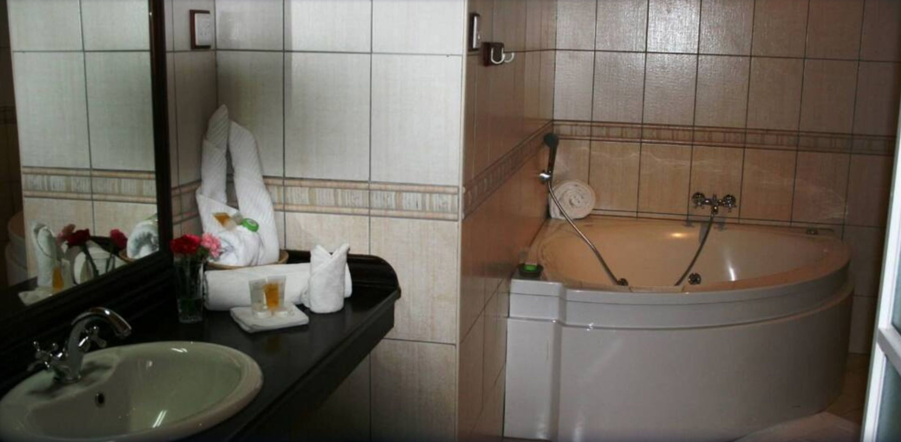 free toiletries, hair dryer, slippers, bidet