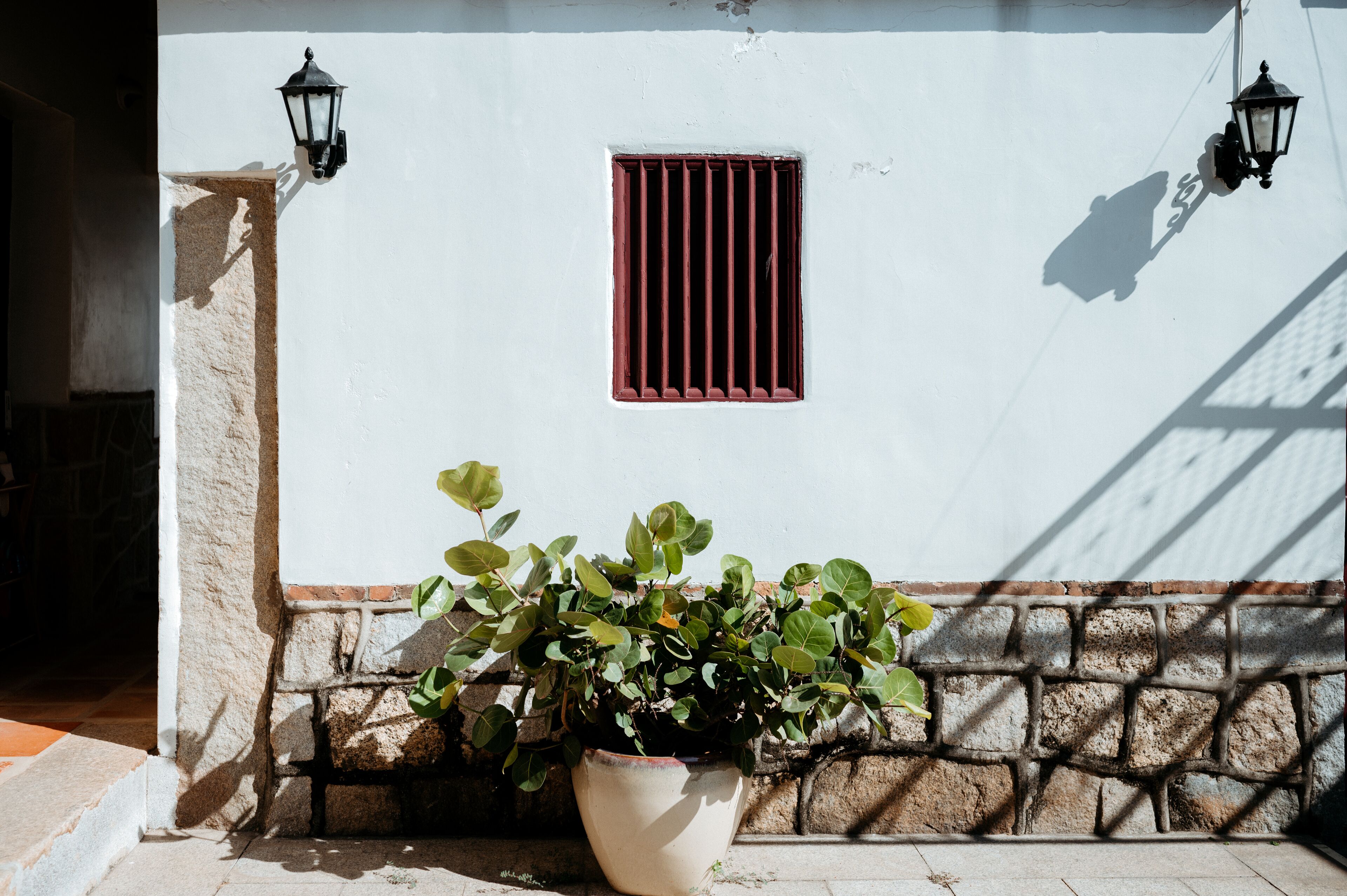 Una planta en maceta frente a una pared blanca con una ventana y dos faroles de pared.