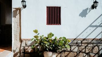 Una planta en maceta frente a una pared blanca con una ventana y dos faroles de pared.