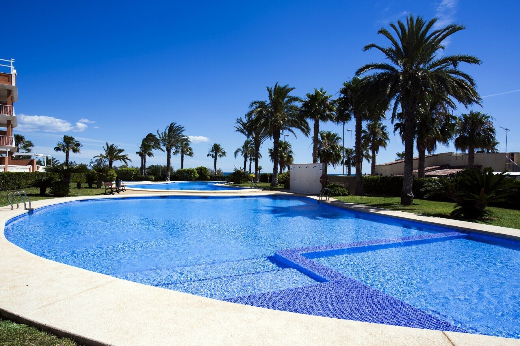 Una piscina grande y cristalina de color azul con un diseño curvo, rodeada de palmeras y un cielo despejado.