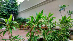 Un jardín con plantas en macetas y un banco de madera.