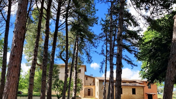 Un edificio rústico de piedra con techo de tejas, rodeado de altos pinos y un cielo azul despejado.