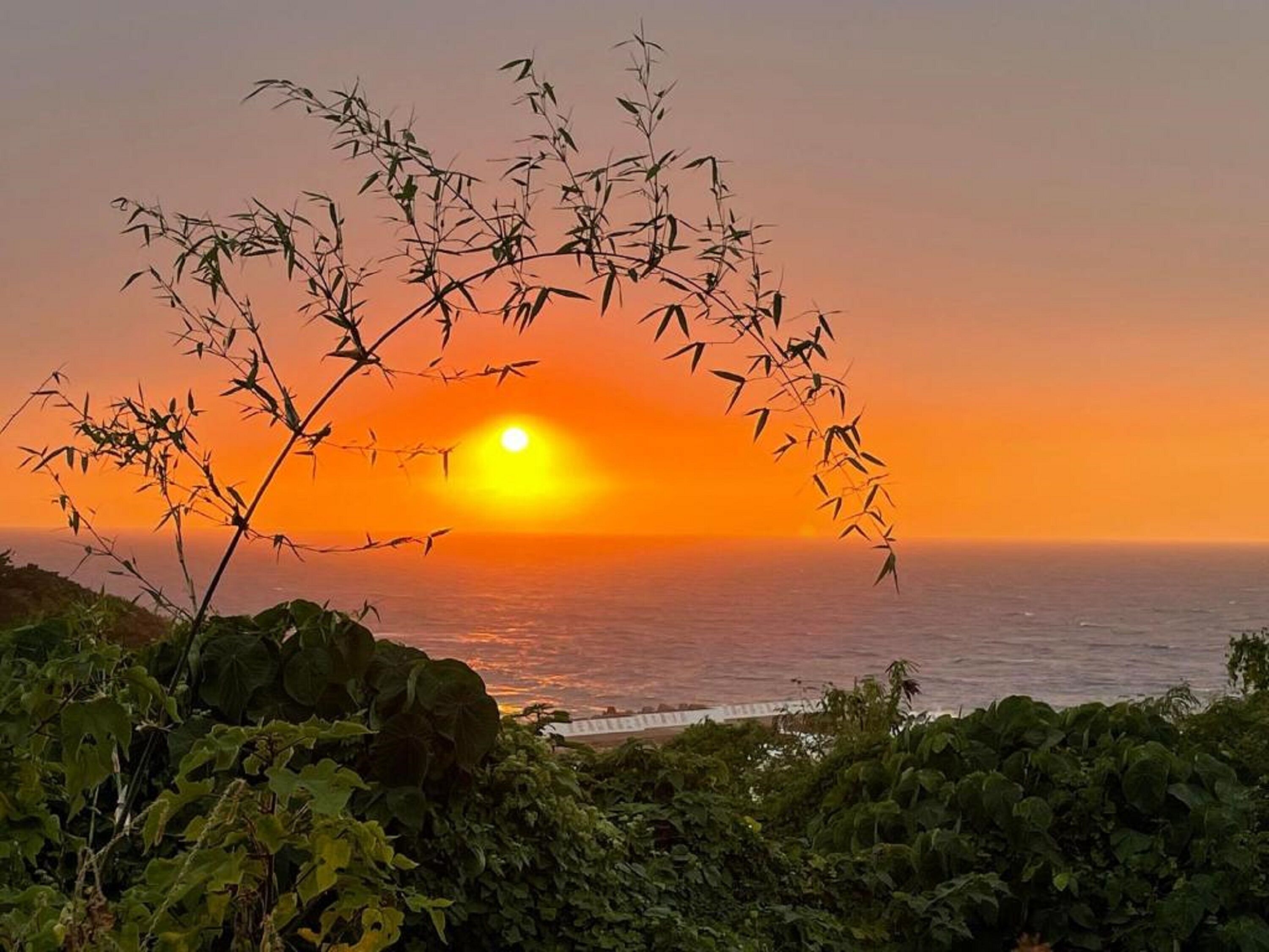 Perto da praia 