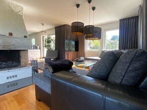 Televisión, chimenea, reproductor de DVD