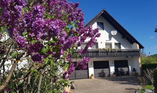 Imagen sin descripción, 1 de 37, botón