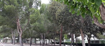 Camping La Paz