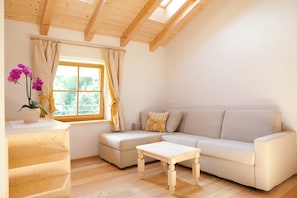 1 chambre, minibar, coffres-forts dans les chambres, bureau