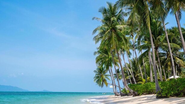 A beach with palm trees and clear blue water. - 2 Bedrooms Villa Aperol (Koh Samui)