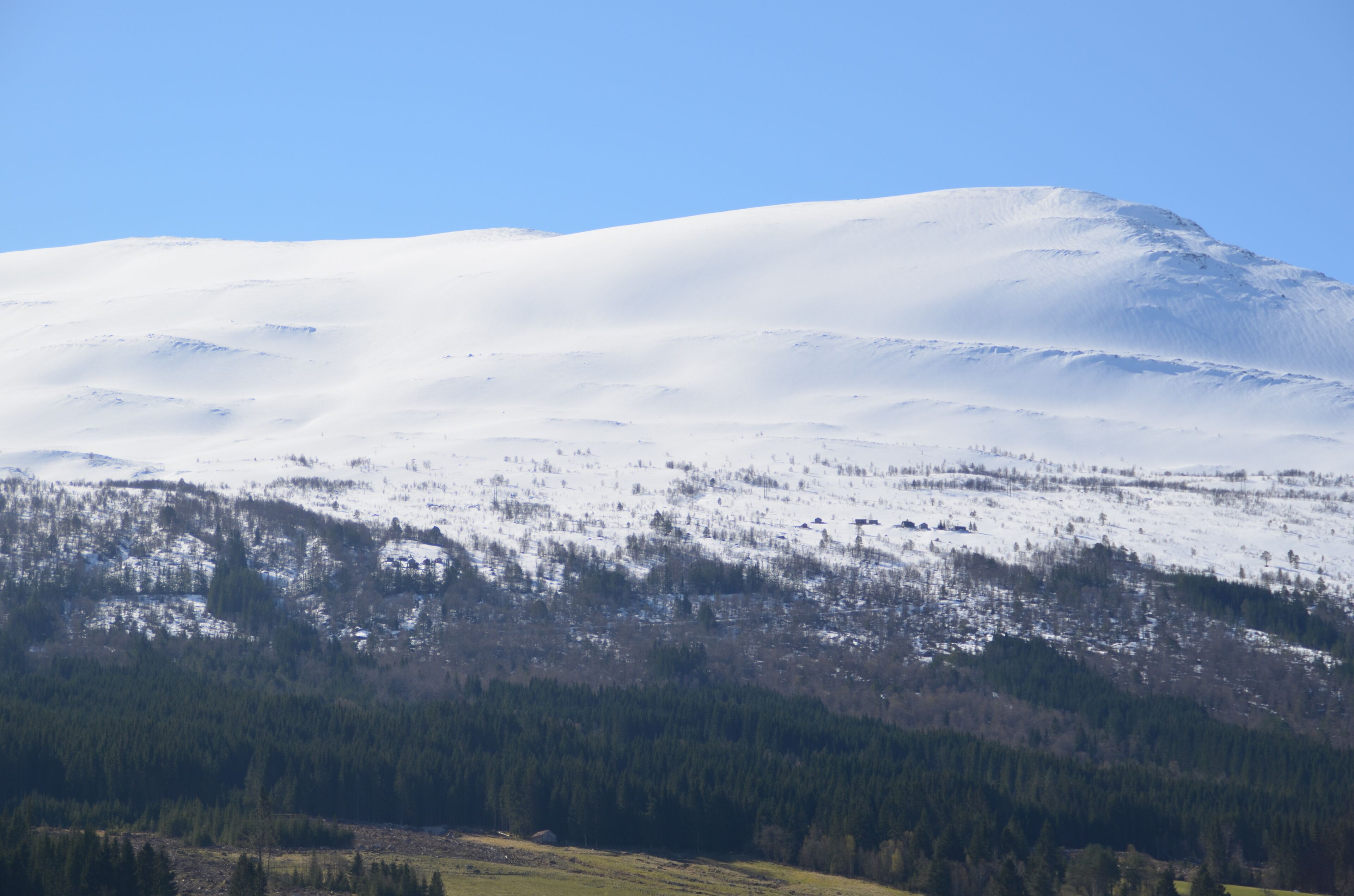 standard triple room | 1 bedroom, pillow-top beds, desk, laptop workspace