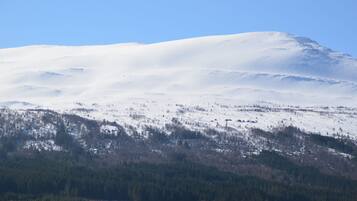 Una montaña nevada con un valle boscoso en la base.