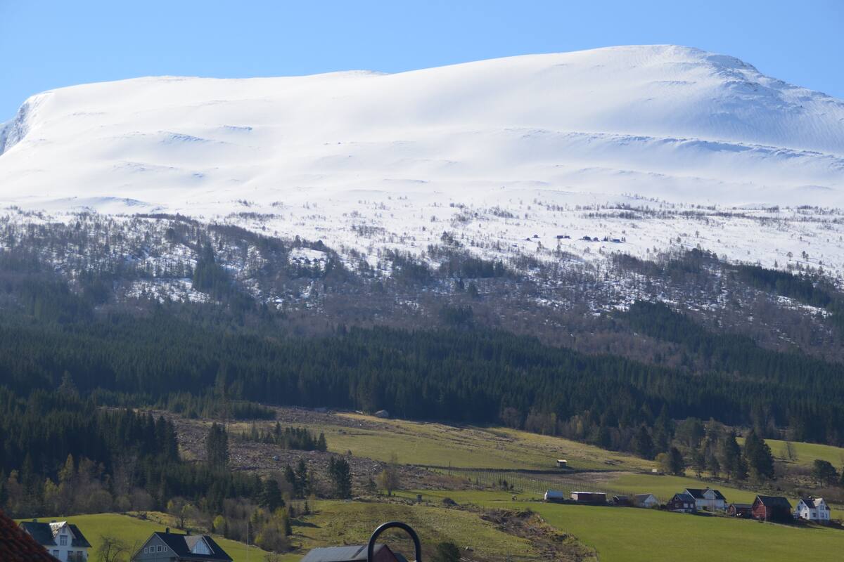 A snow-covered mountain with a village at its base.
