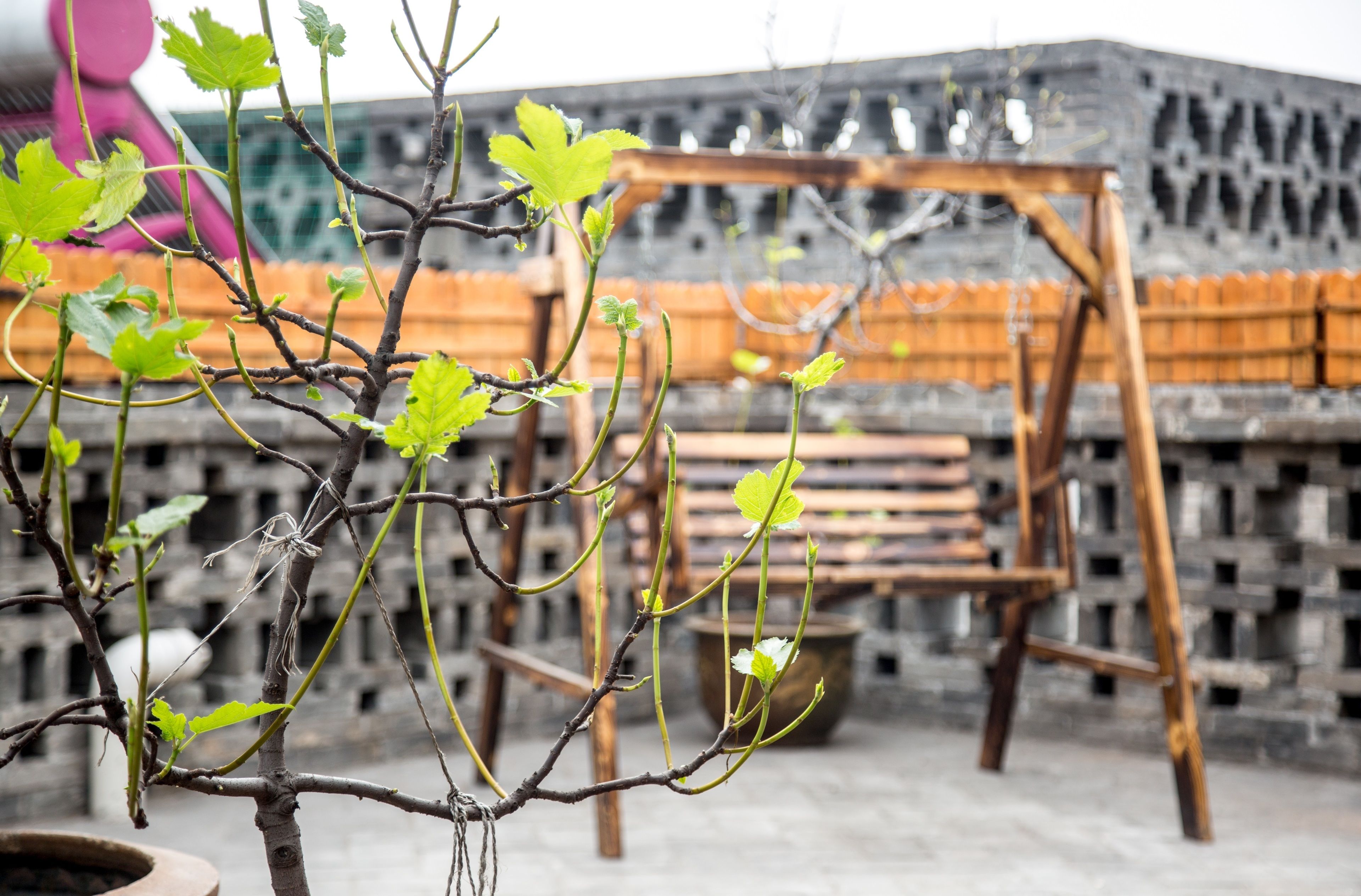 Een tuin met een houten schommel en een stenen muur op de achtergrond.