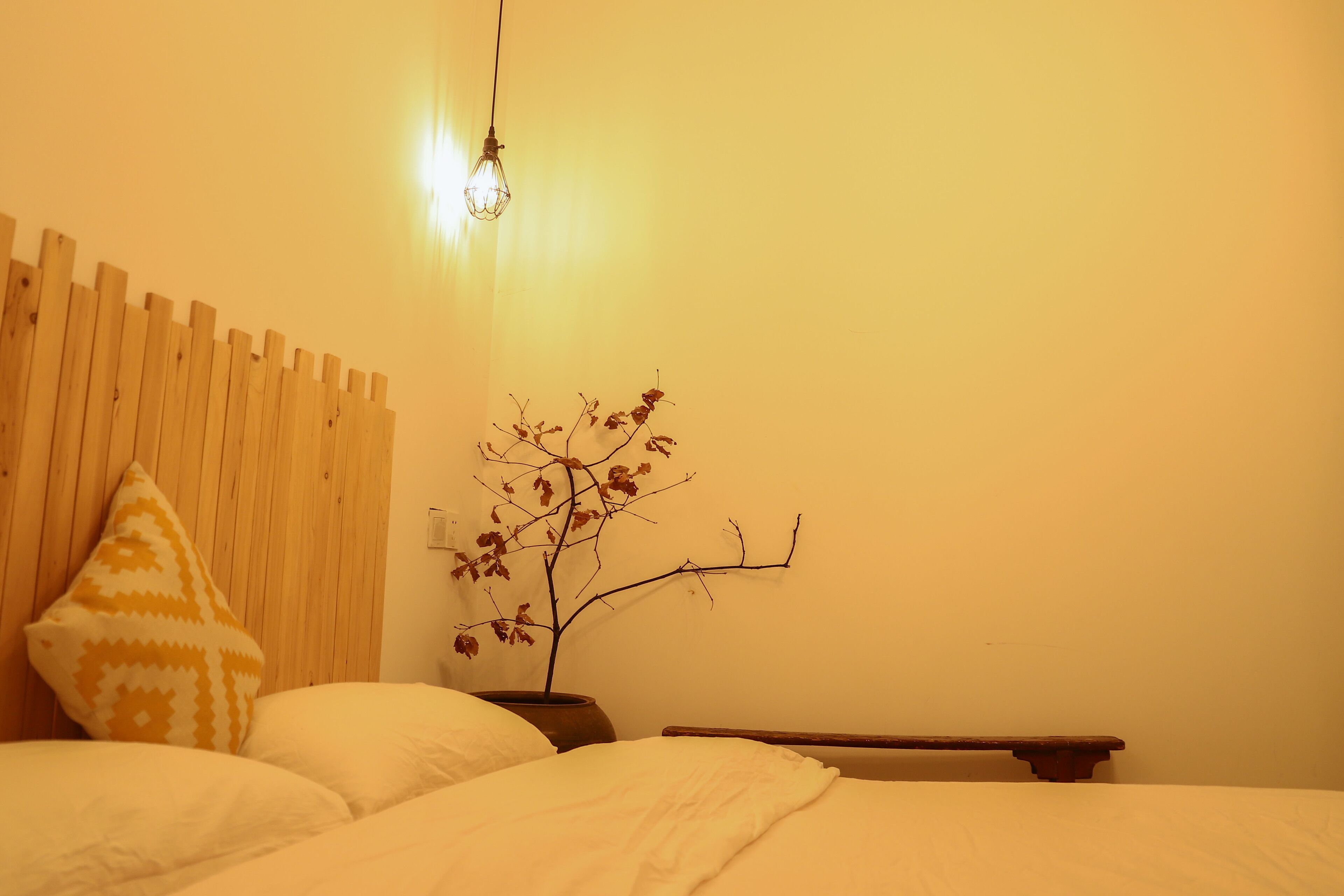 Ein Schlafzimmer mit einem Holz-Kopfteil, einem Nachttisch mit Lampe, einer Zimmerpflanze und einem Bett mit weißer Bettwäsche.