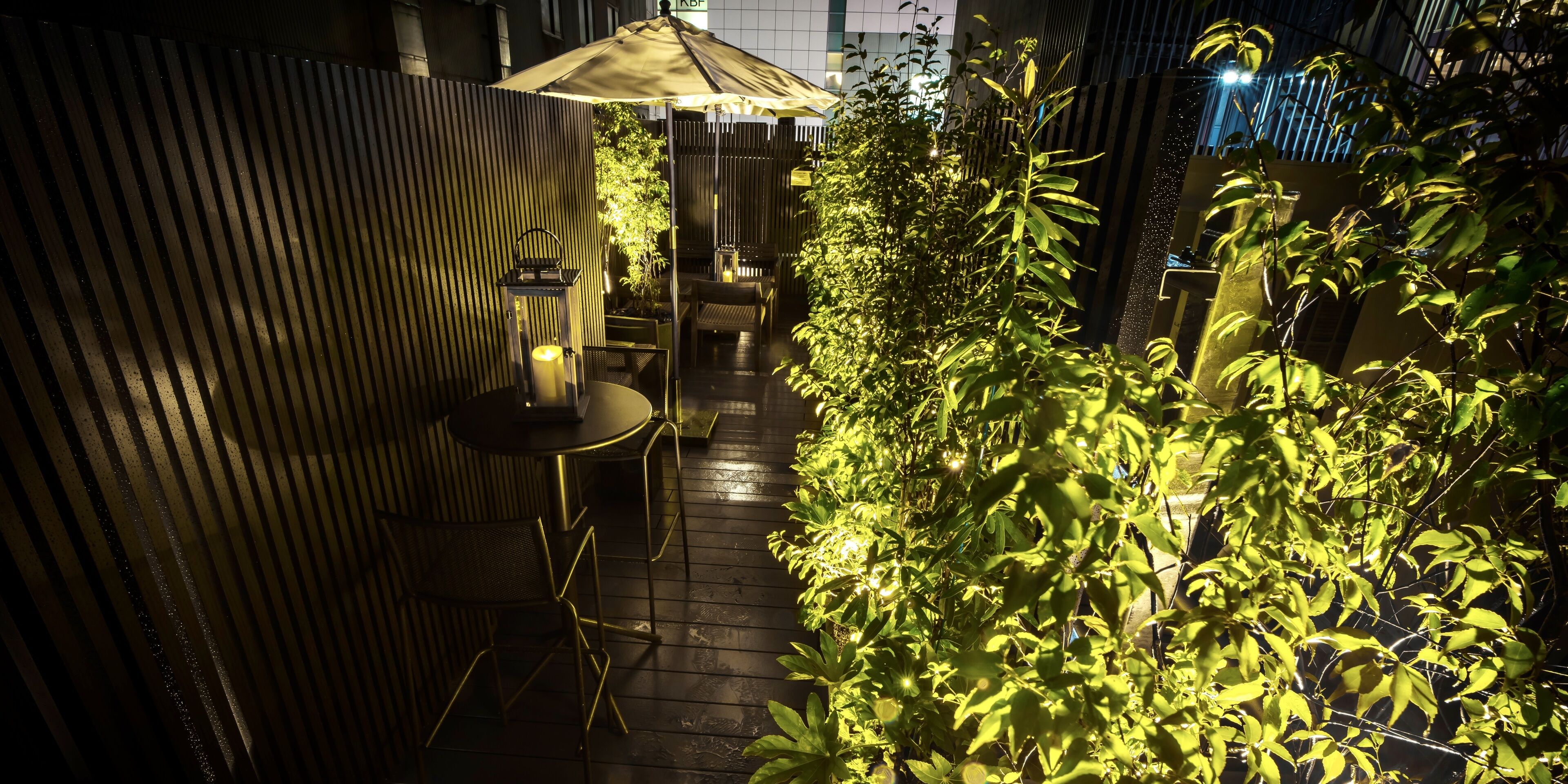 テラス / パティオ