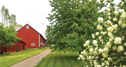 3 bedroom stunning home in Vimmerby