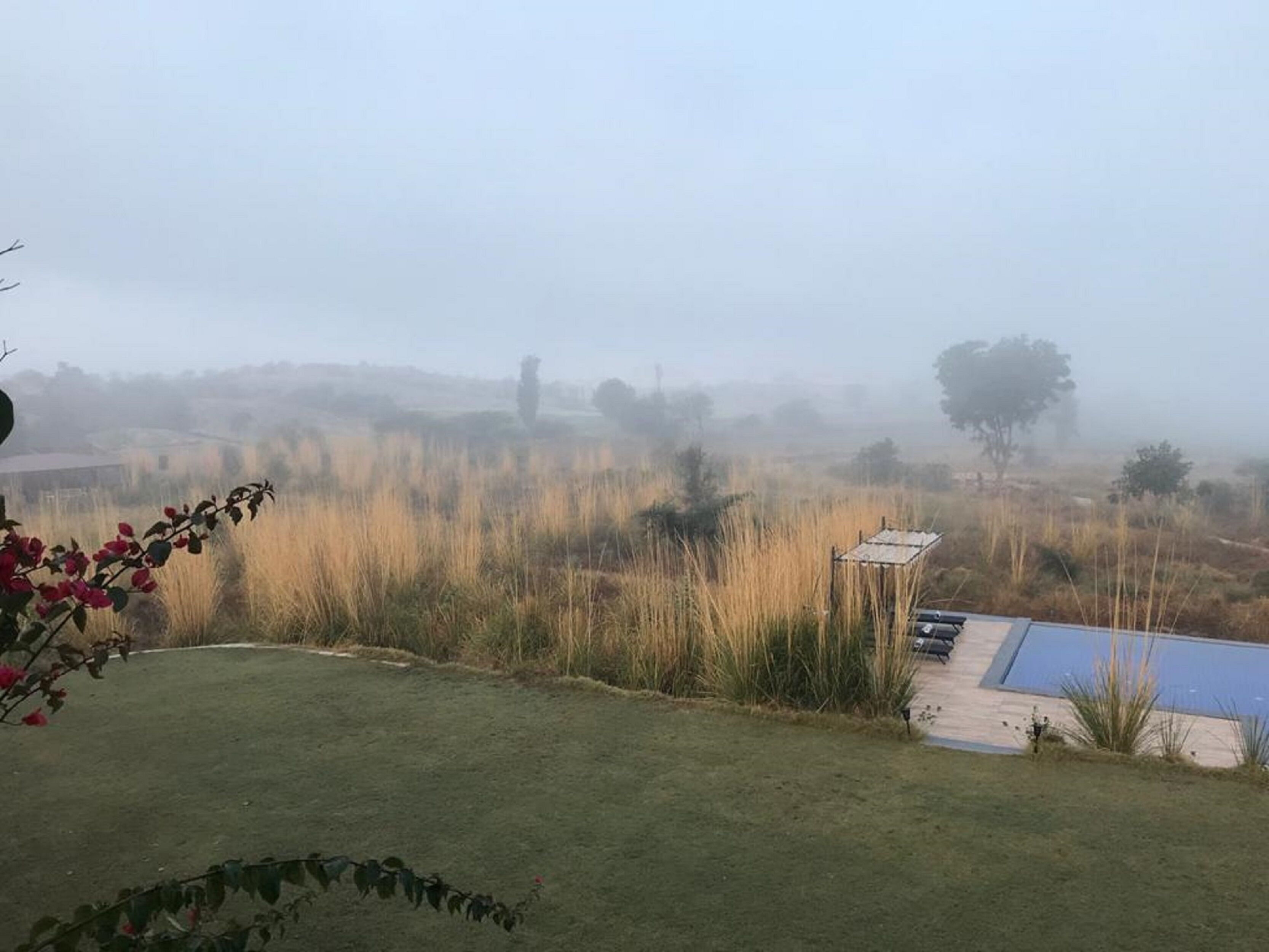 A foggy landscape with a small building and a pool.