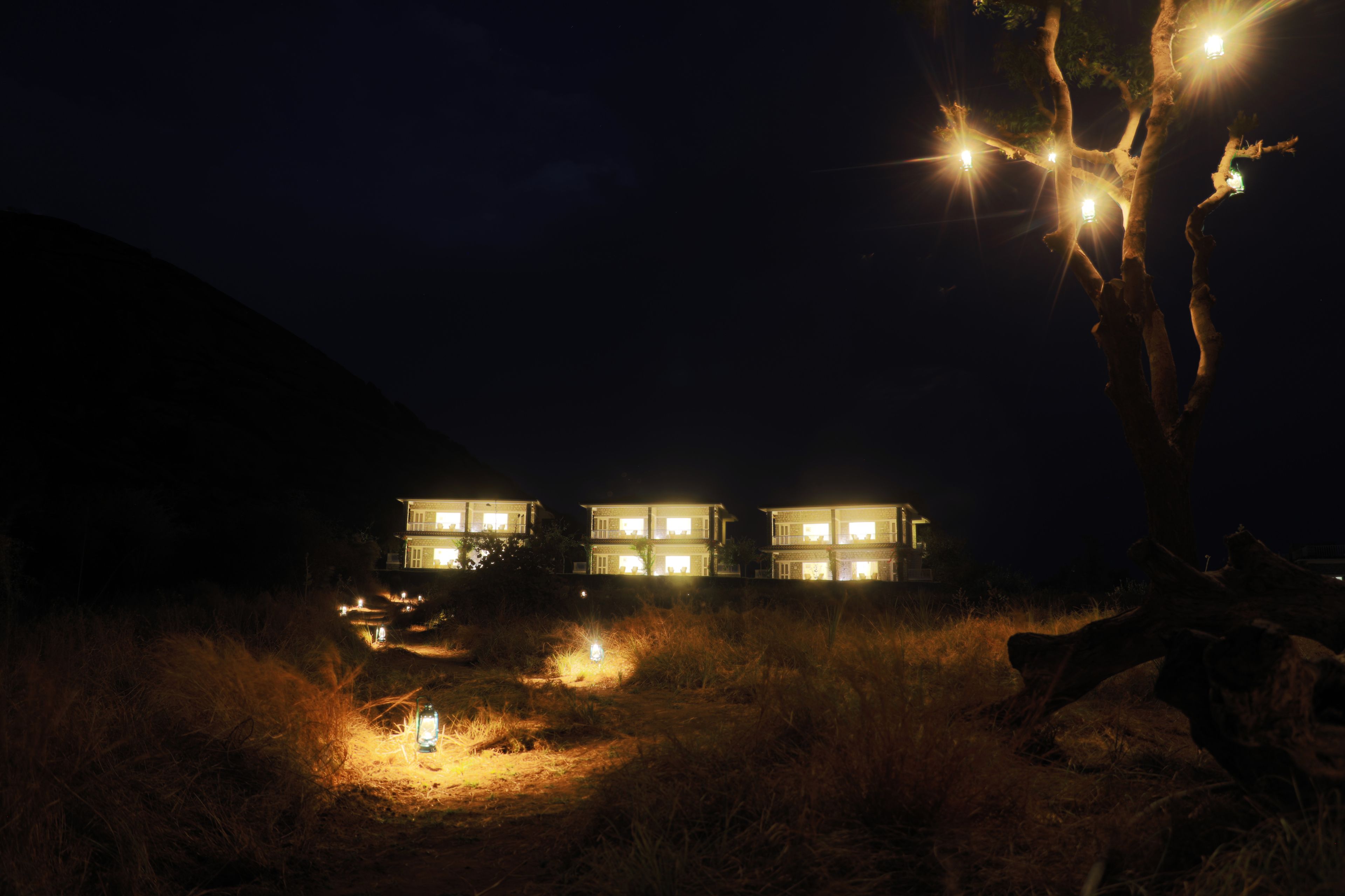 A building with multiple illuminated windows at night, surrounded by dry grass and a tree.
