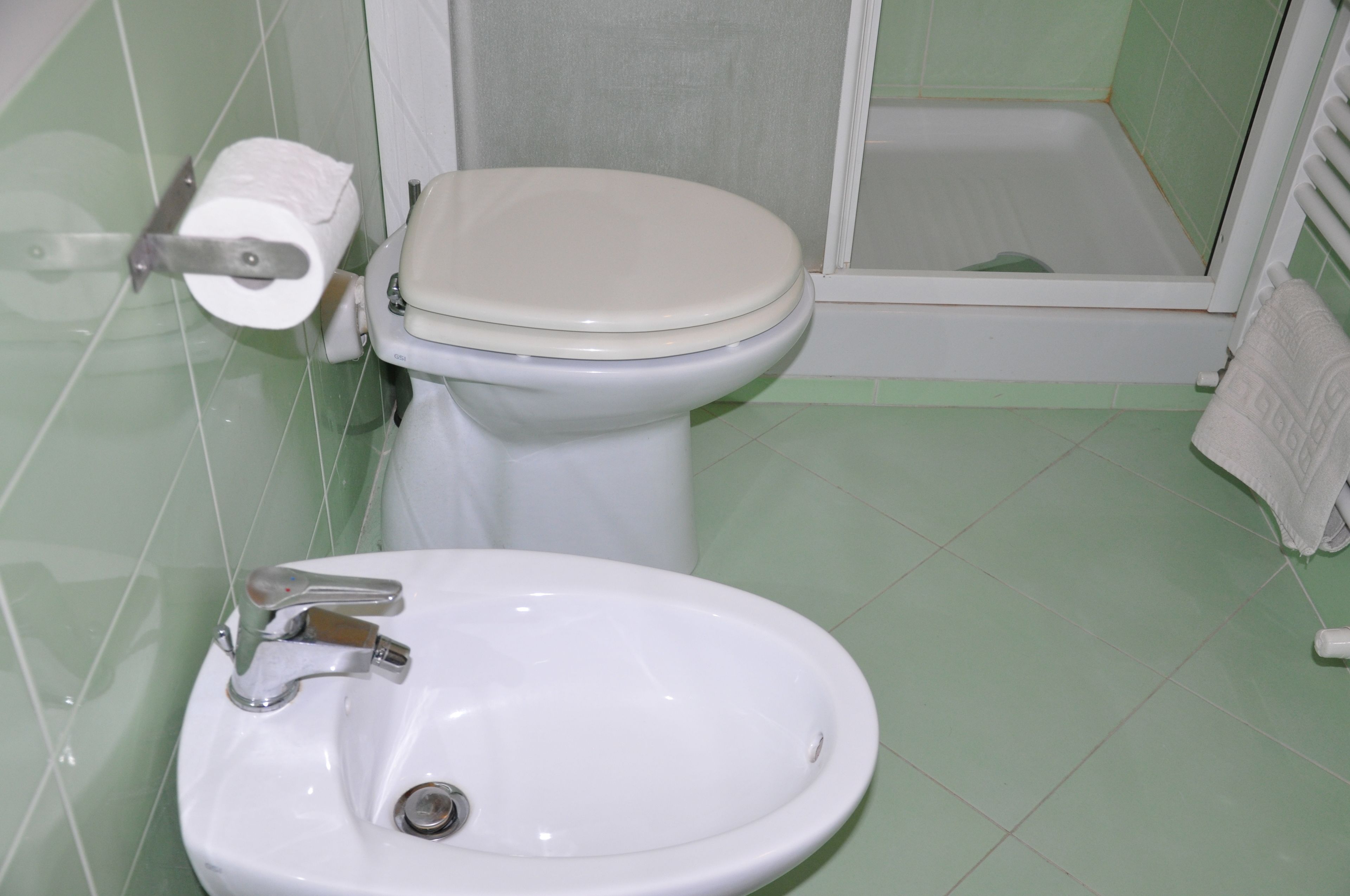 A bathroom with a toilet, a sink, and a shower area.