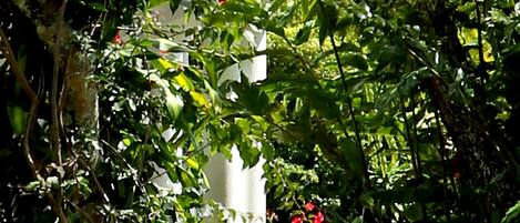 A white statue in a garden with green grass and red flowers.