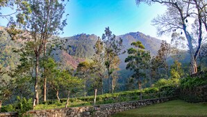 A stone wall with a grassy area and trees in a mountainous landscape. - The Planters House (Koslanda)
