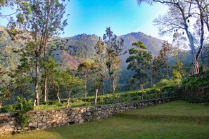 إطلالة الغرفة