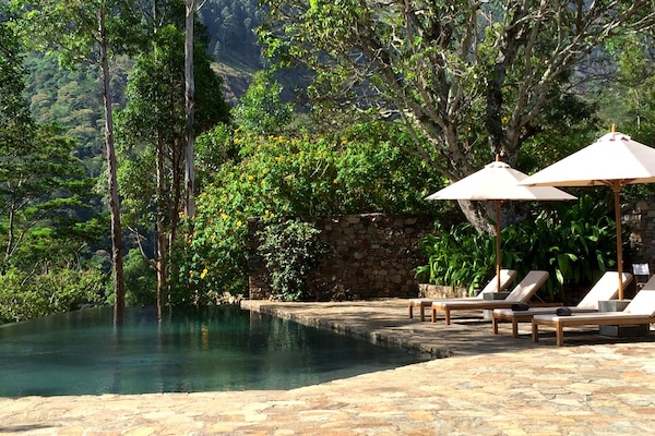 Outdoor pool, pool umbrellas, pool loungers