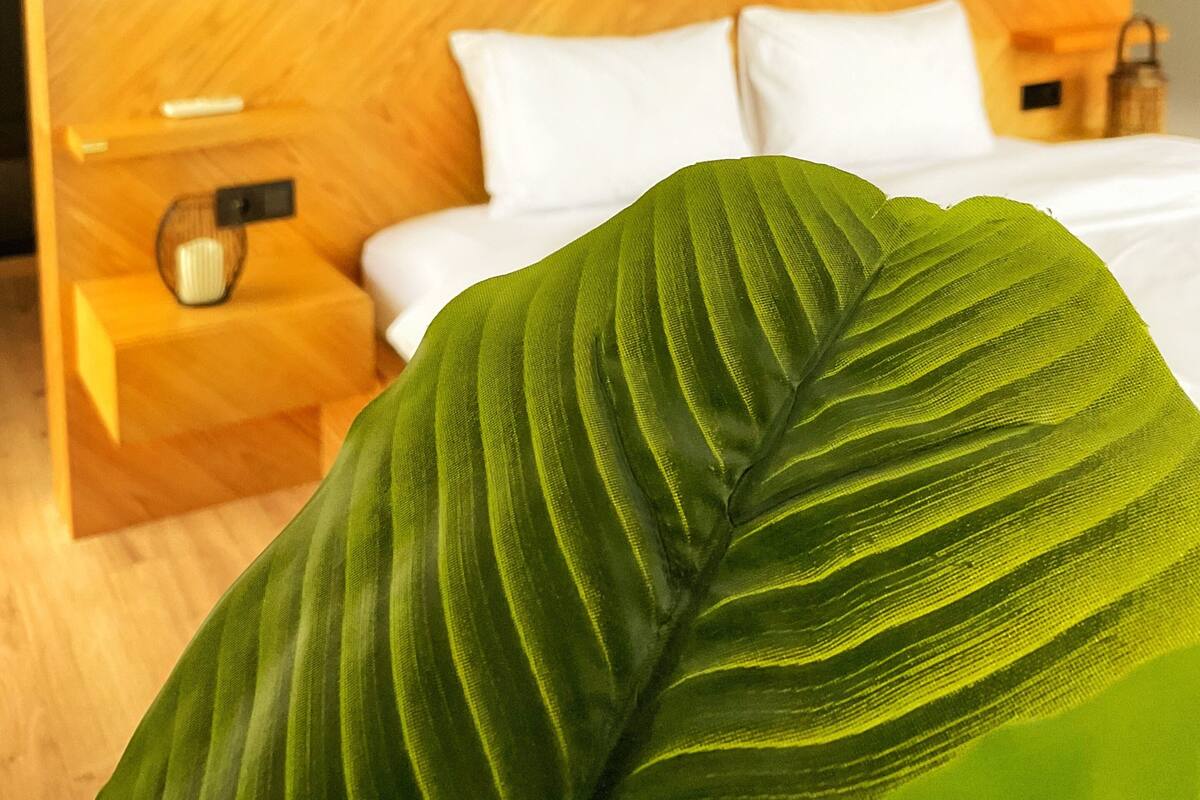 Una habitación de hotel moderna con cabecera de madera, ropa de cama blanca, una mesita de noche con lámpara y una planta verde grande en primer plano.