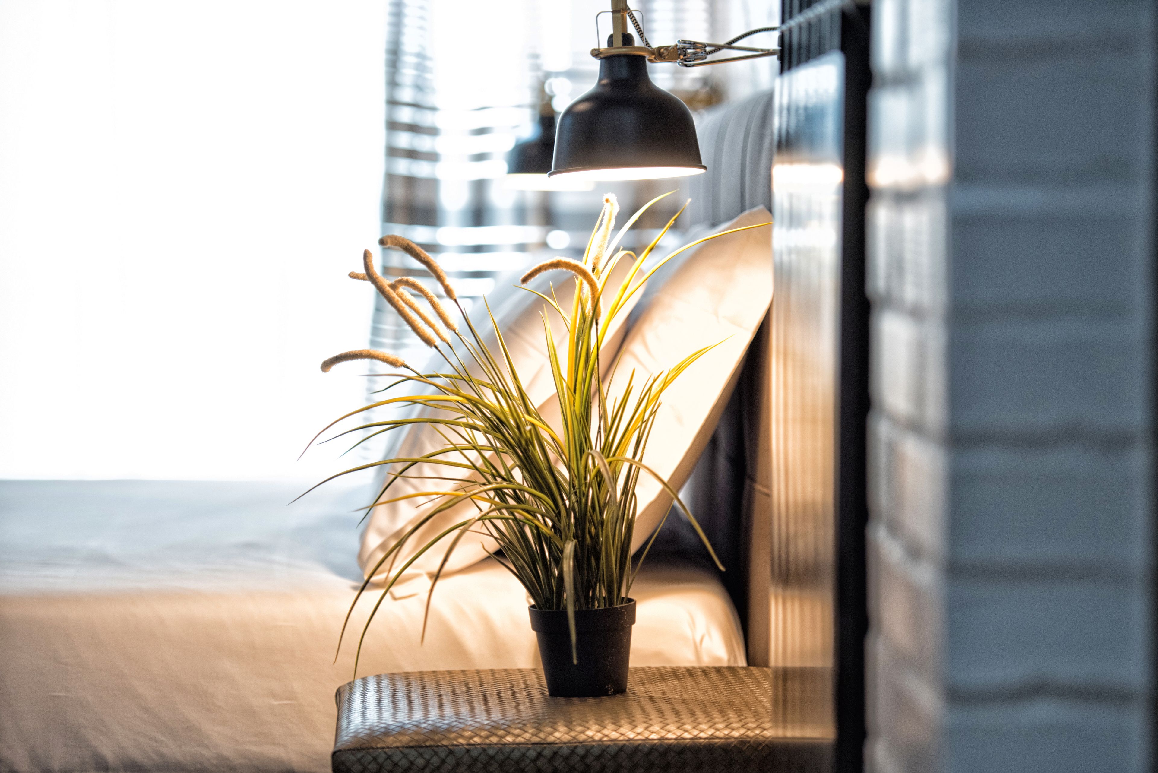 经济双人房 | 客房景观