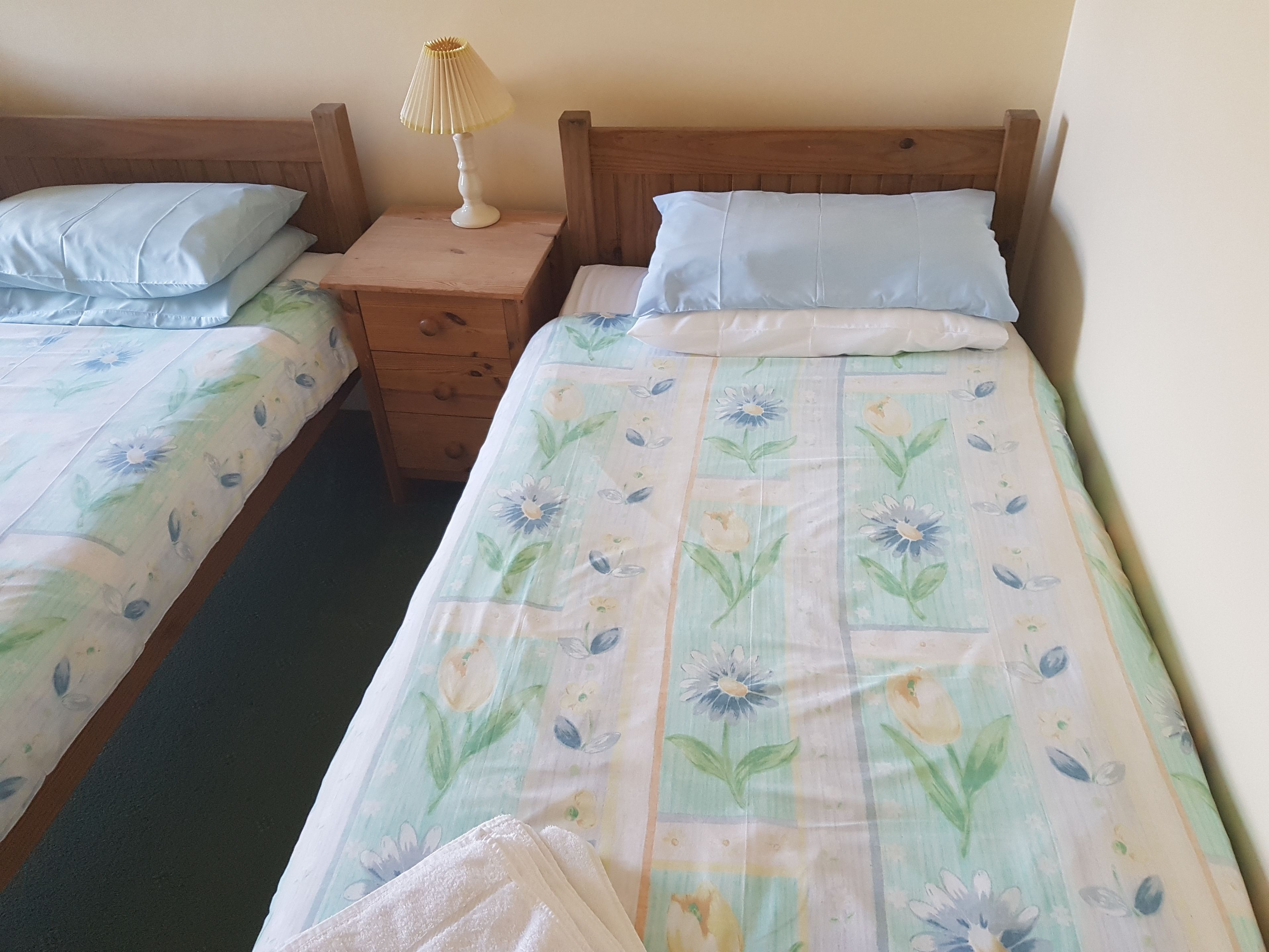 A twin room with two single beds, each with a wooden headboard, a bedside table with a lamp, and a floral-patterned bedspread.