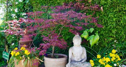 Malvern Holiday Garden Flat