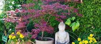 Malvern Holiday Garden Flat