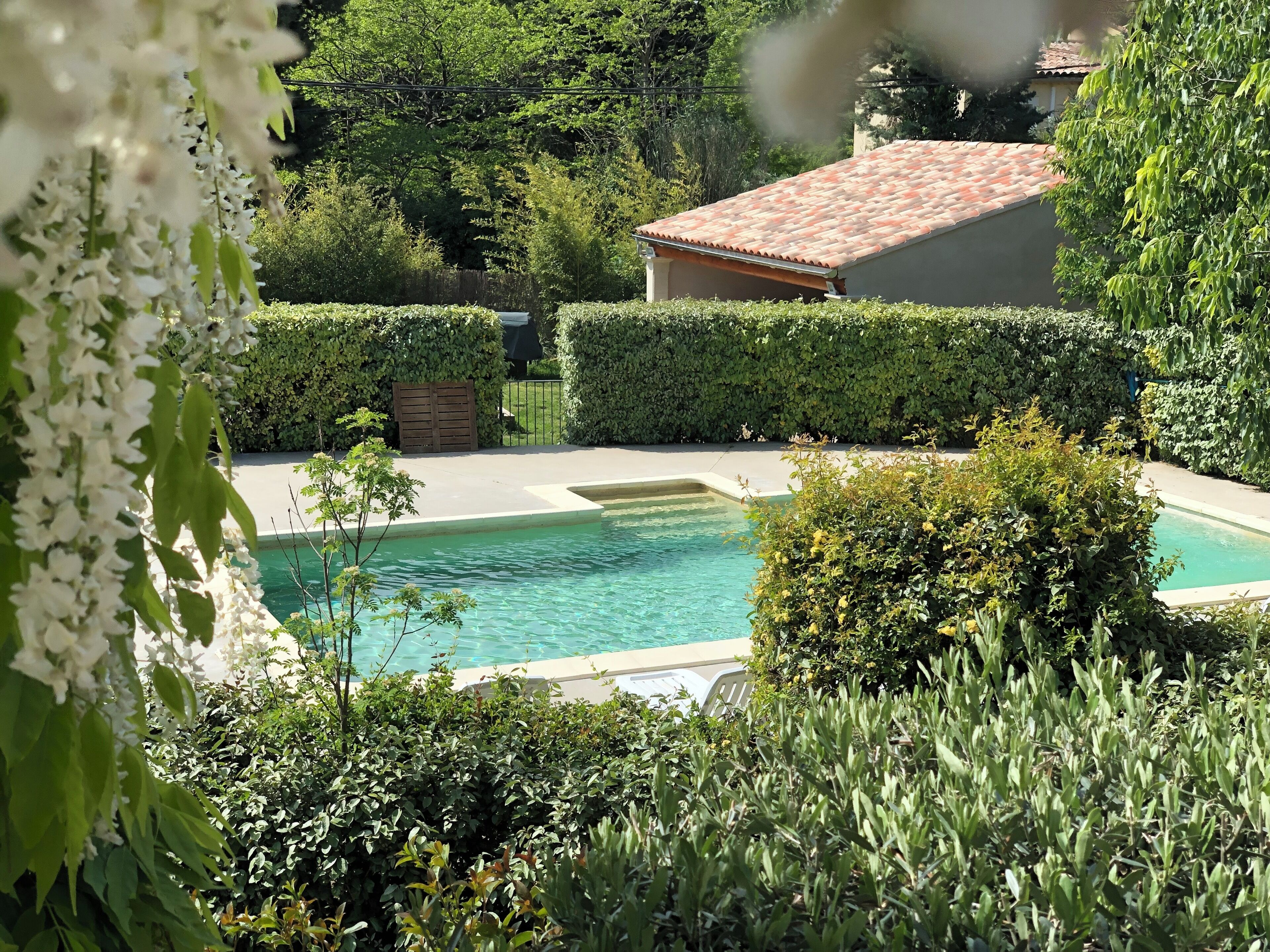 A pool surrounded by well-maintained hedges and trees, with a building featuring a red-tiled roof in the background.