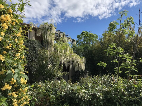 Overnattingsstedets uteområder