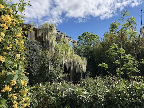 Classé Meublé Tourisme 4 étoiles avec jardin, piscine, vue sur le Mont Ventoux
