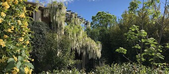 Rated 4-star Meublé Tourisme with garden, swimming pool, view of Mont Ventoux