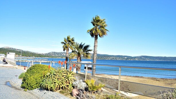 Un paseo marítimo con palmeras, un camino pavimentado y vista al mar.