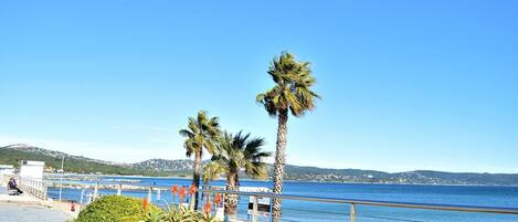 Ubicación cercana a la playa