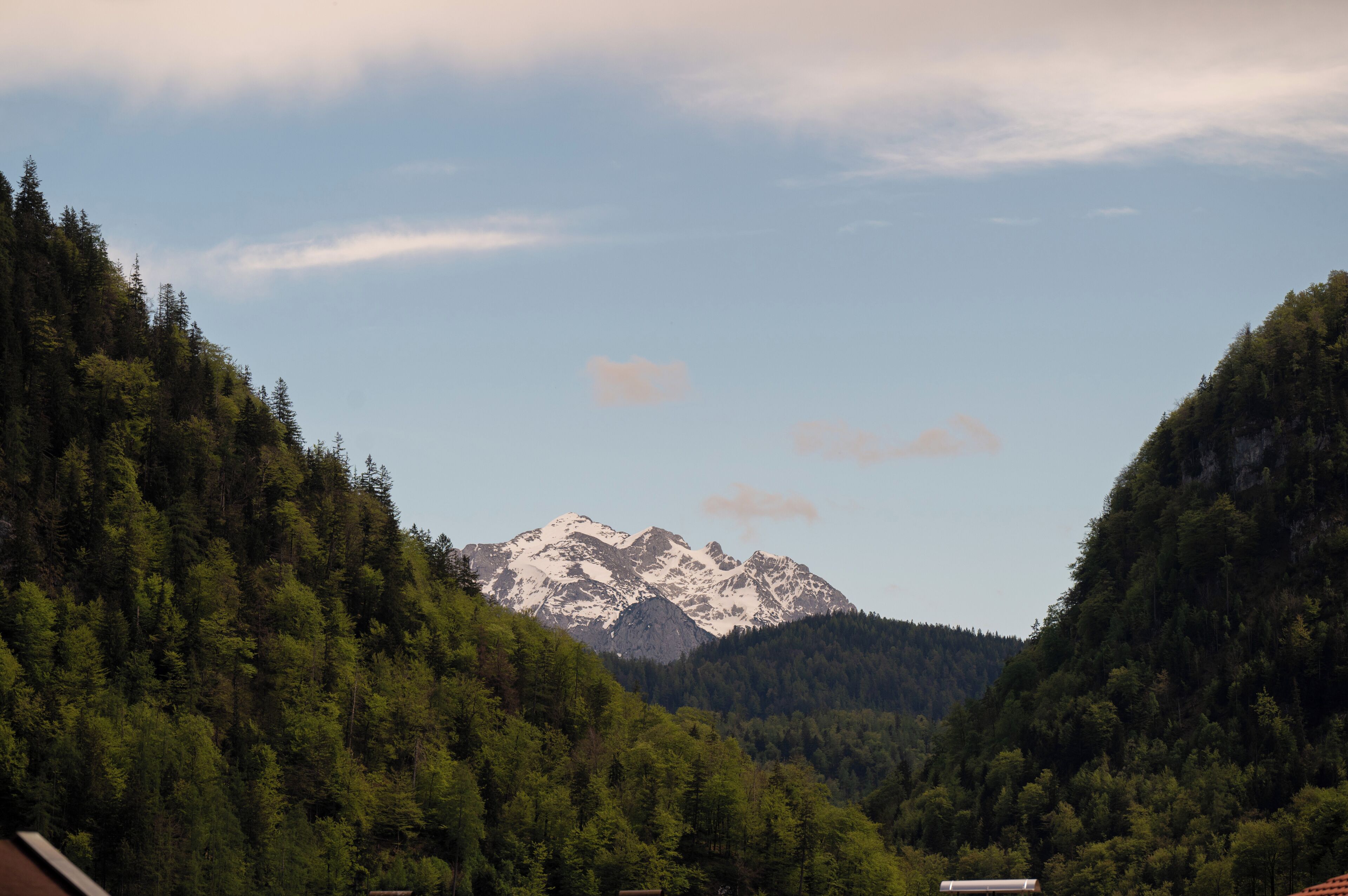 A mountain with snow-capped peaks, surrounded by dense forest.